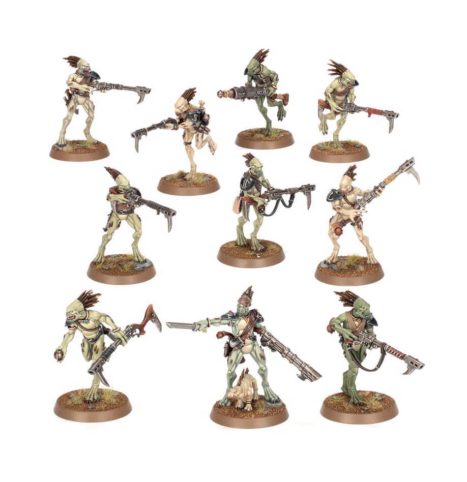 Kroot - Carnivores
