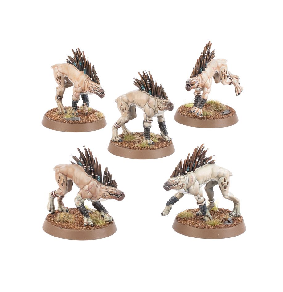 Tau - Kroot Hounds